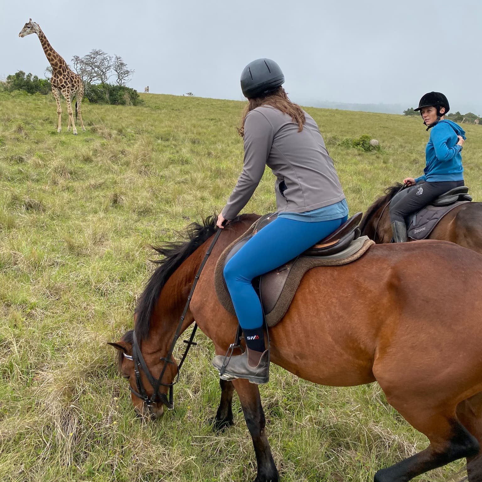 Horse riding nearby