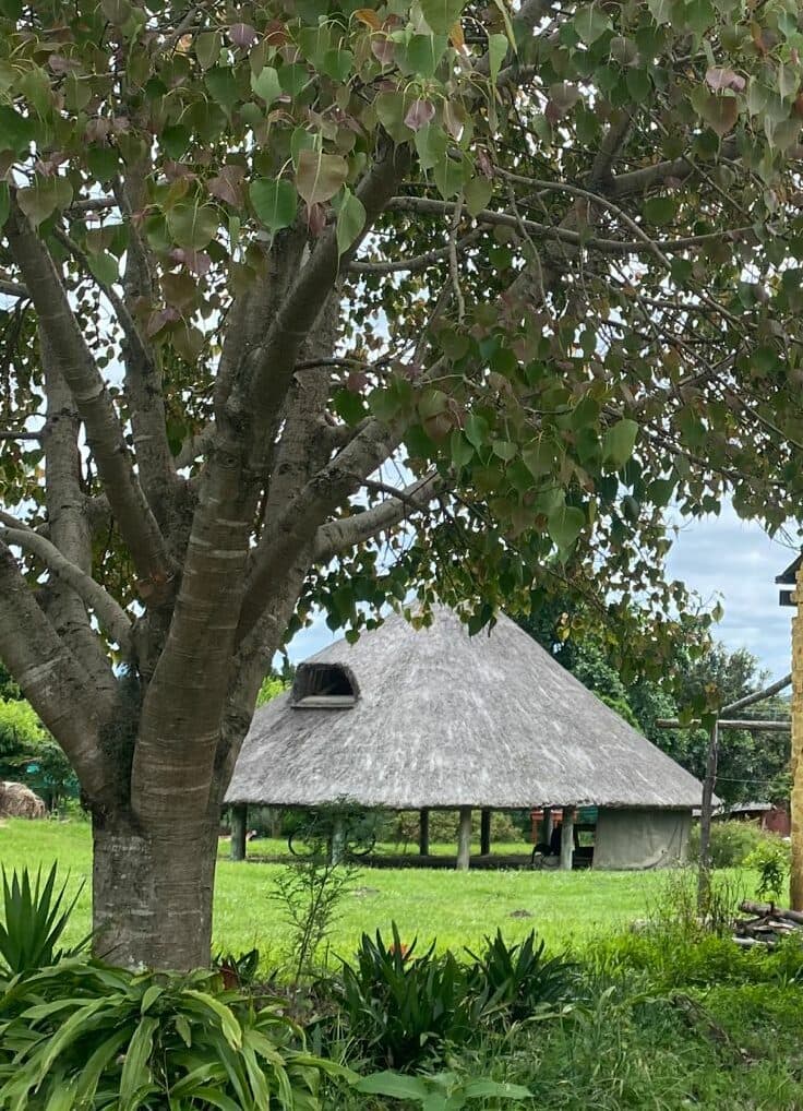 Khula Dharma landscape